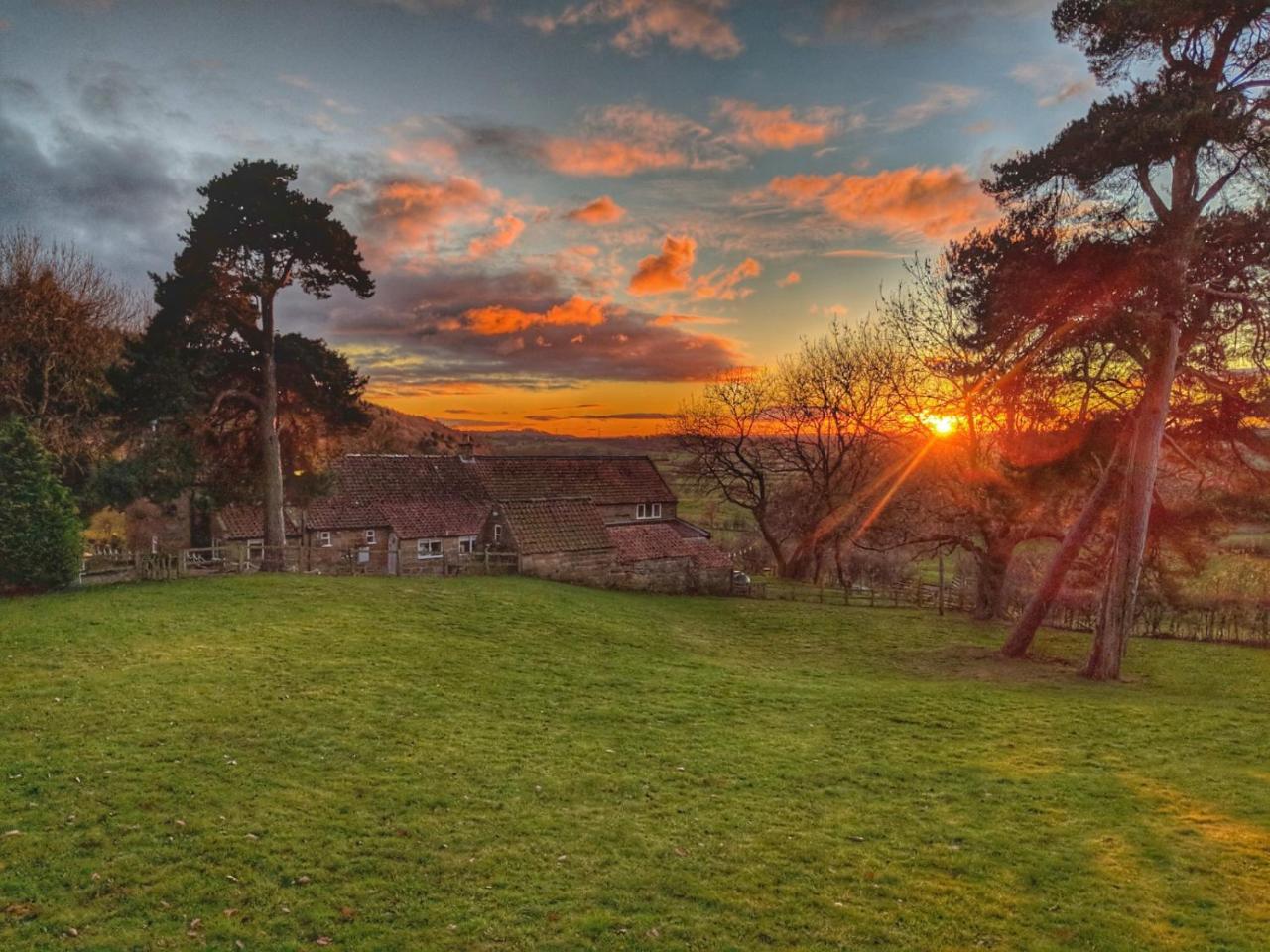 Bed and Breakfast Park House Ingleby Arncliffe Exterior foto